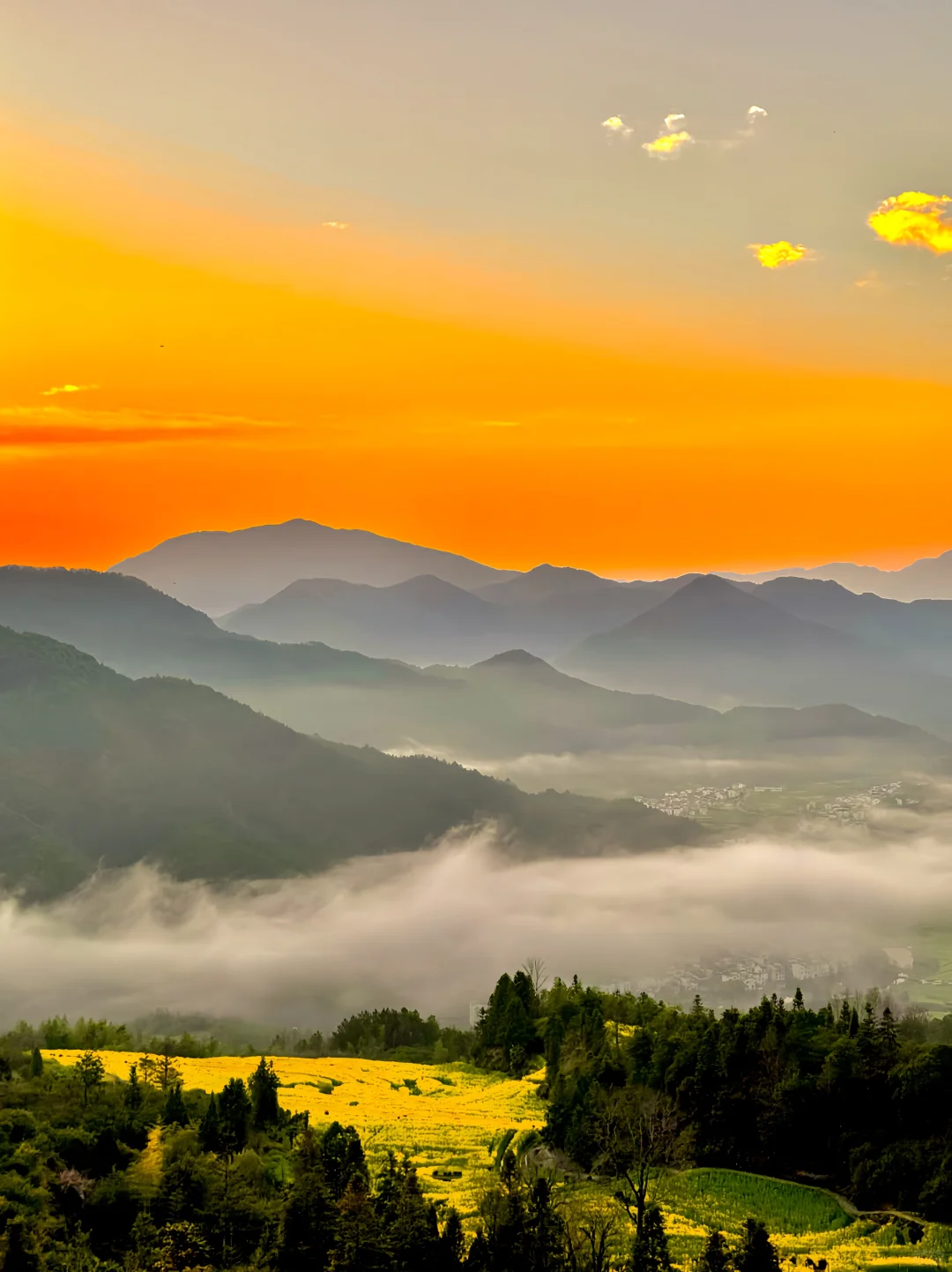 live实况🌼婺源的春天美到封神！没有平替…