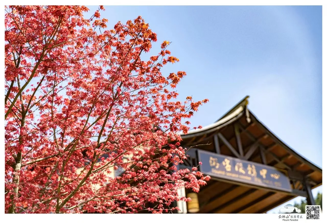 云冰山景区：邂逅，那片惊艳的枫红