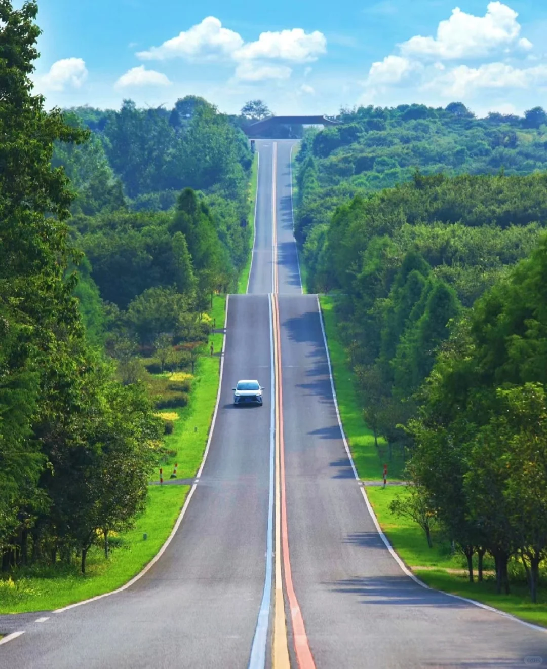 「江浙沪周边」4条绝美自驾路线，周末说走就走