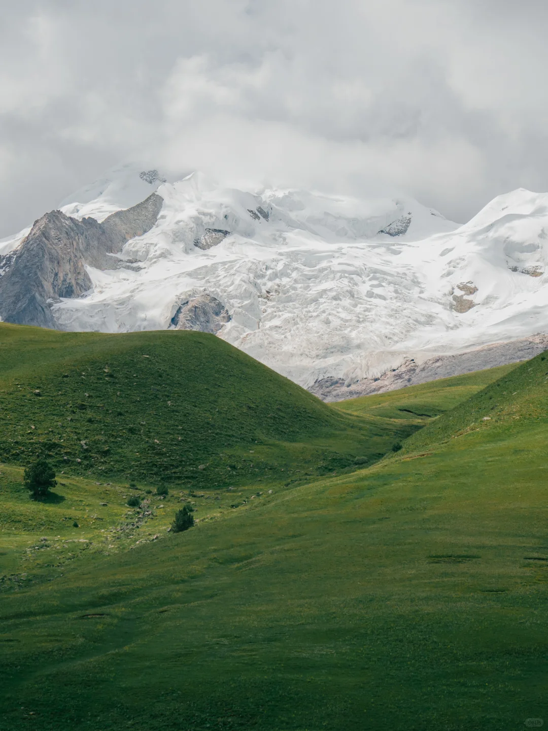 格聂 从来不是谁的平替