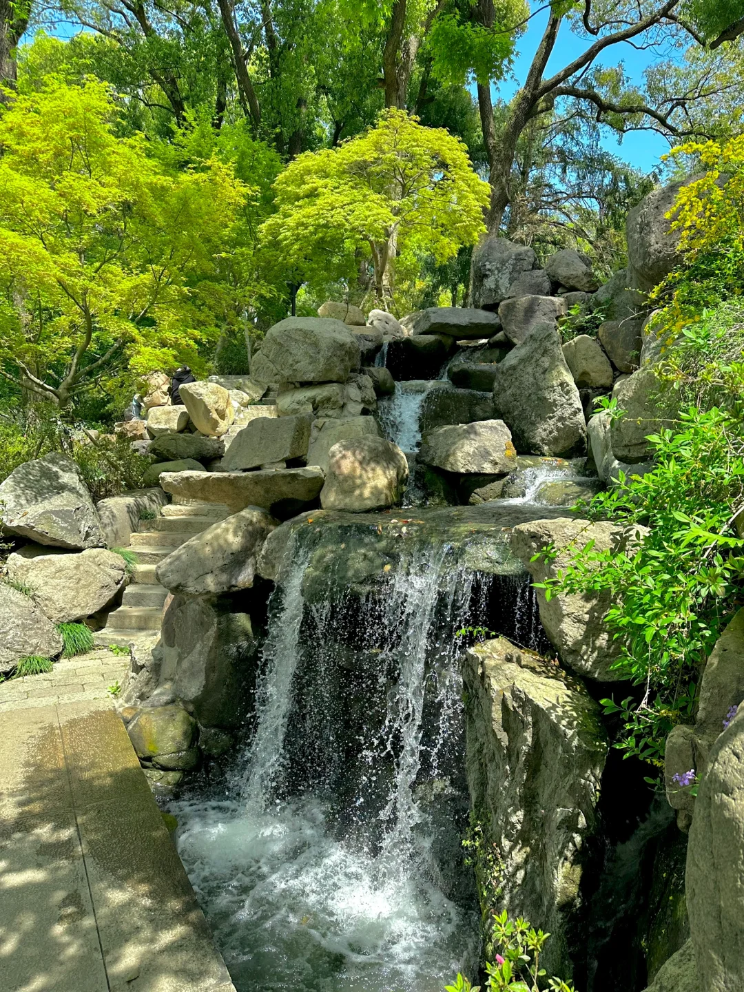 到虎丘才知道苏州的春天多治愈！