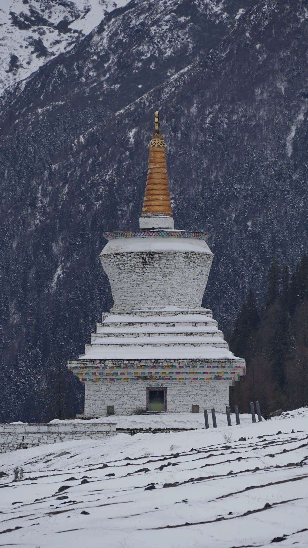 四姑娘山｜4️⃣月双桥沟沉浸式游玩攻略✅