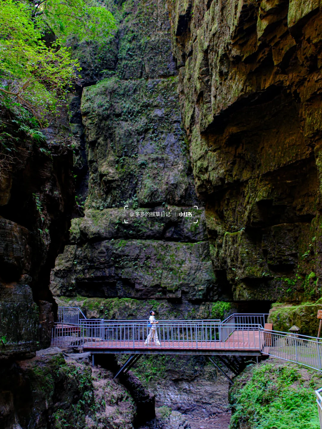 4.1北京春天超神秘峡谷今天开放啦❗️附地图