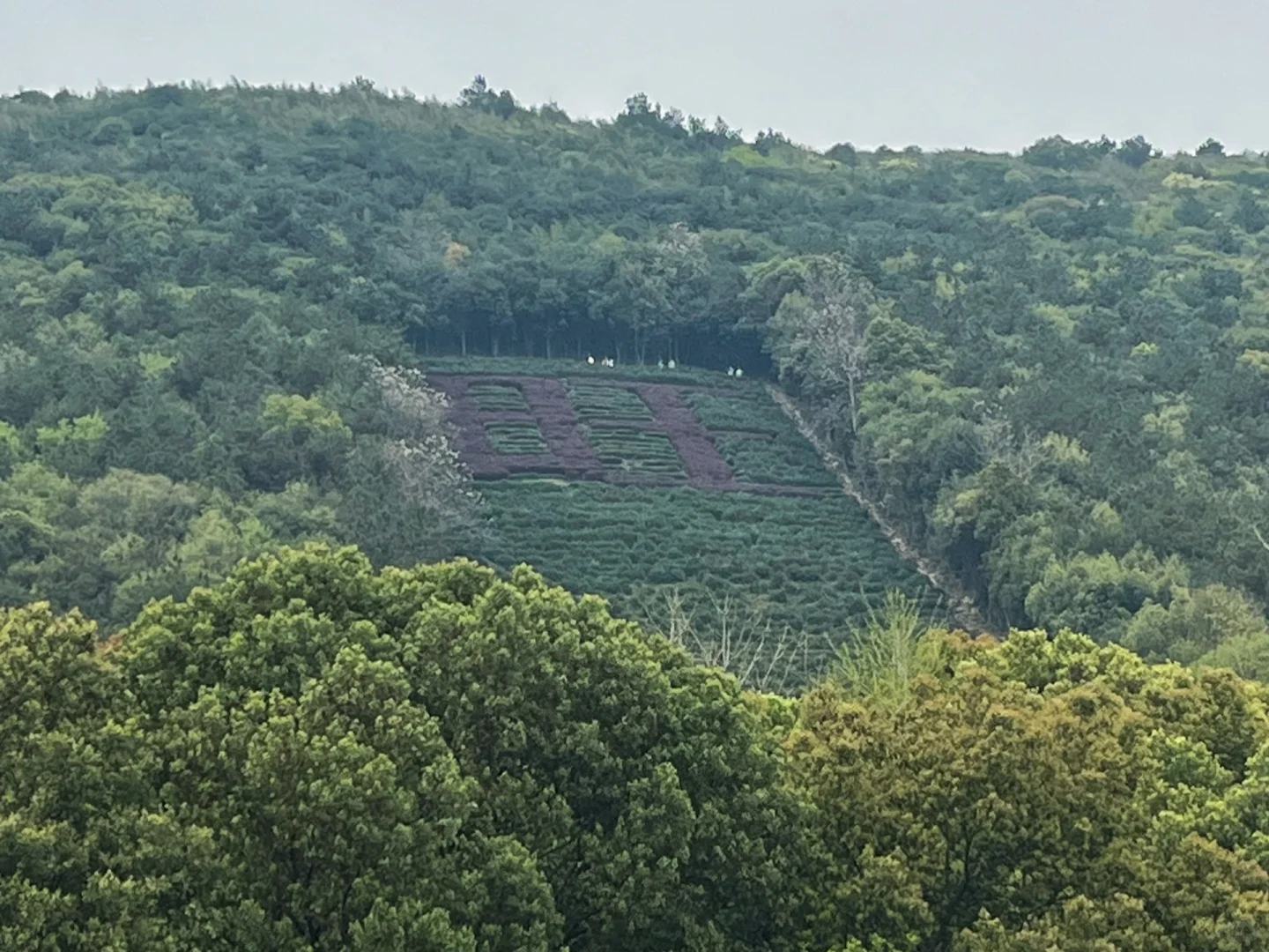 旺山徒步线路推荐