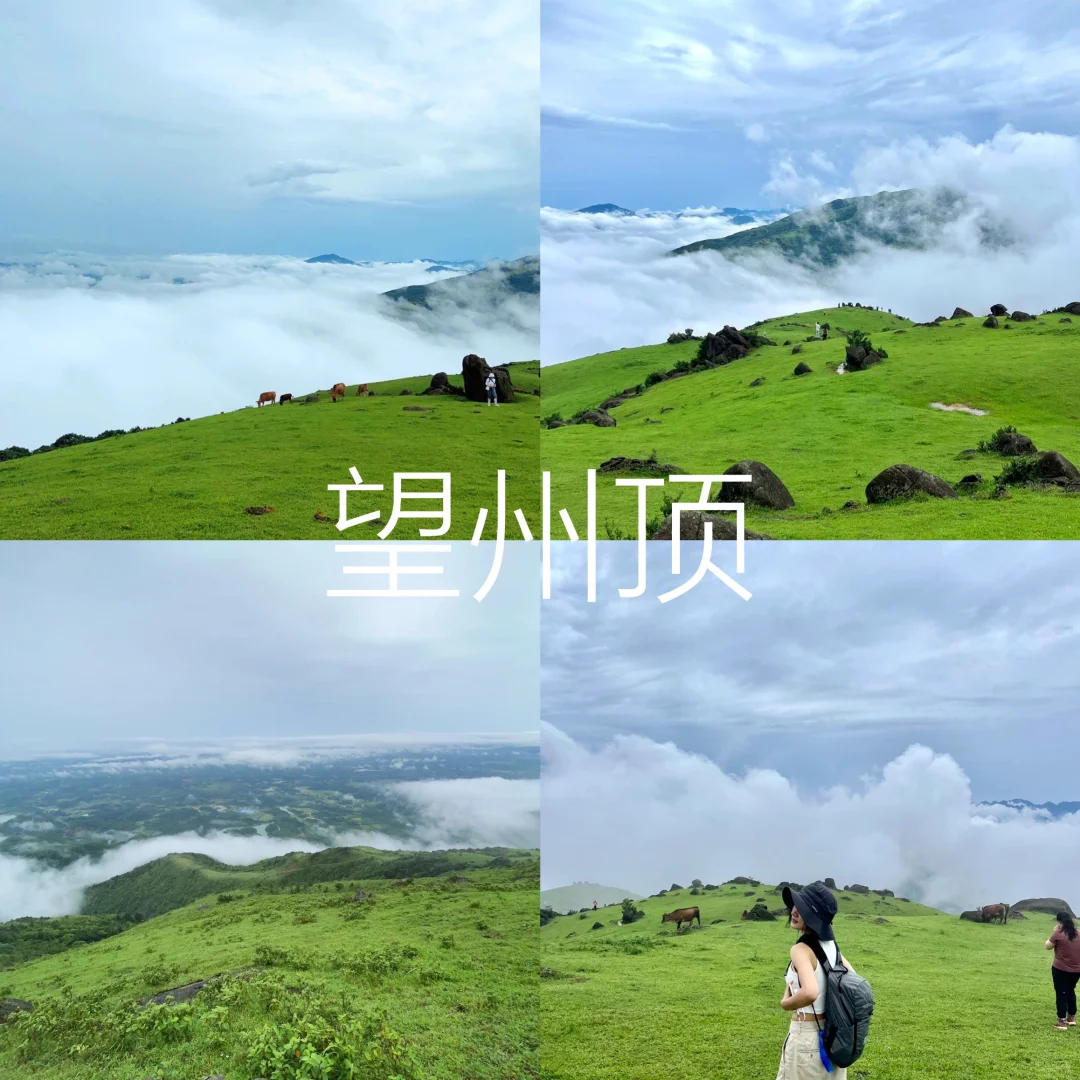 5-8月去广西旅游的姐妹听劝来看‼️