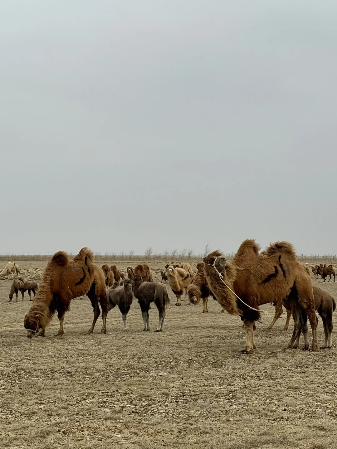 在乌鲁木齐就不能看海了？
