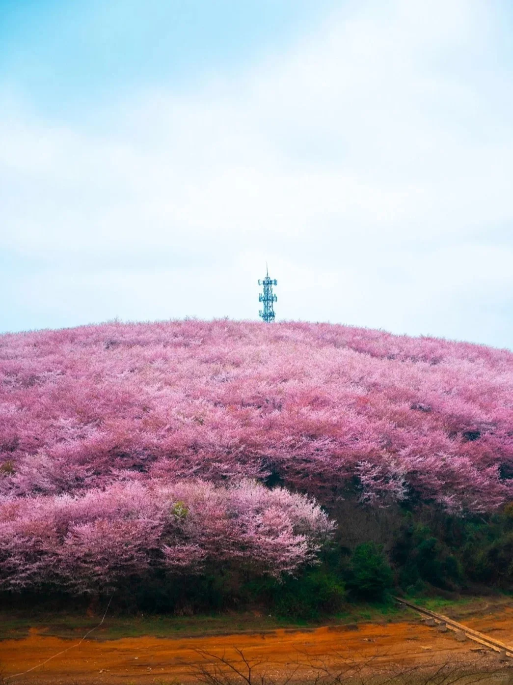 3-5月安顺旅游攻略🌸小众宝藏地大揭秘✨