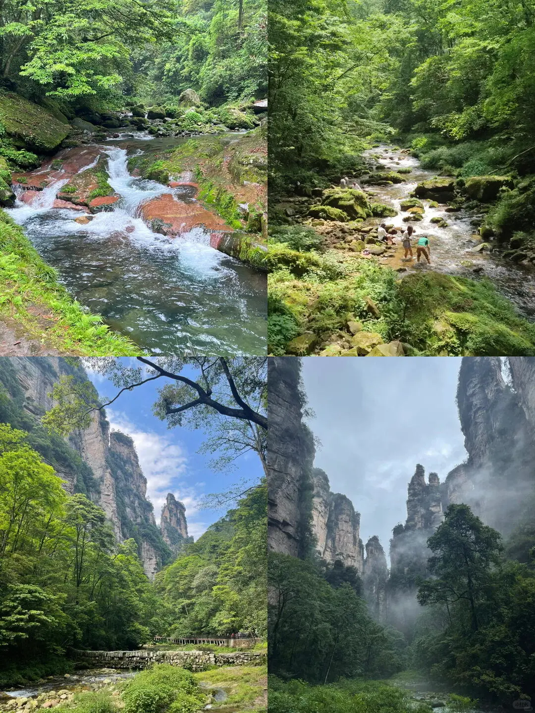 都感叹张家界山峰险峻，谁又知工人的勇气