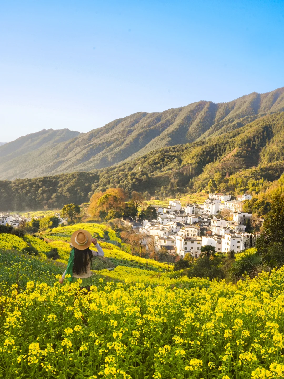 live实况🌼婺源的春天美到封神！没有平替…