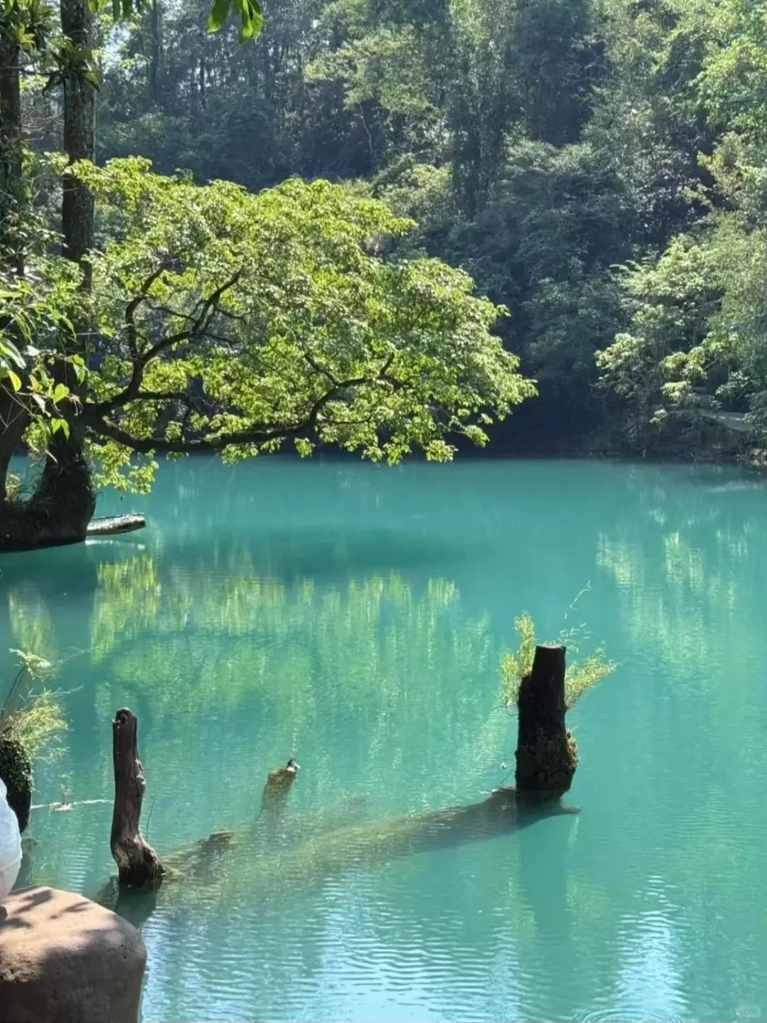 血泪教训‼️3-5月别不听劝就去荔波小七孔😭…