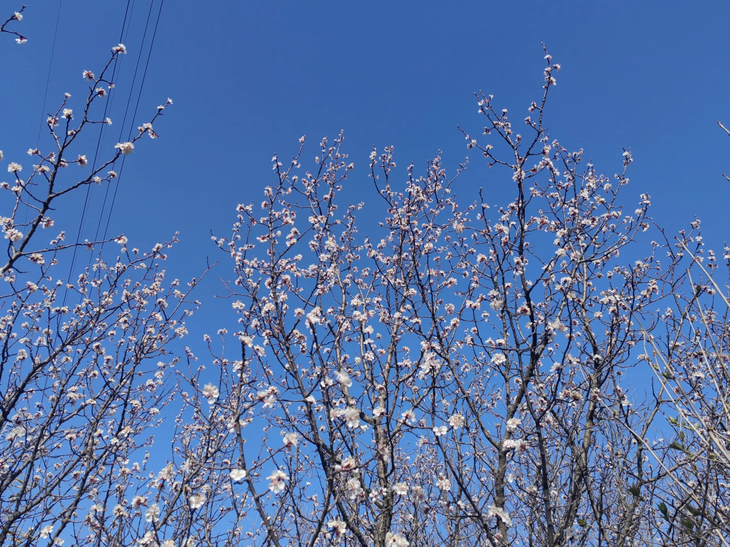 雁栖湖西山步道 2025.4.2