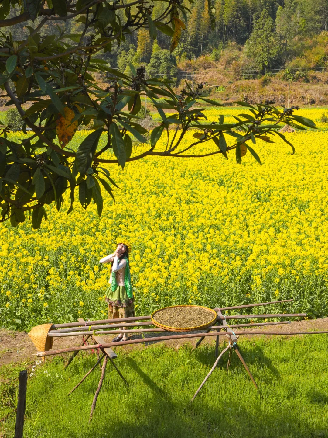 live实况🌼婺源的春天美到封神！没有平替…