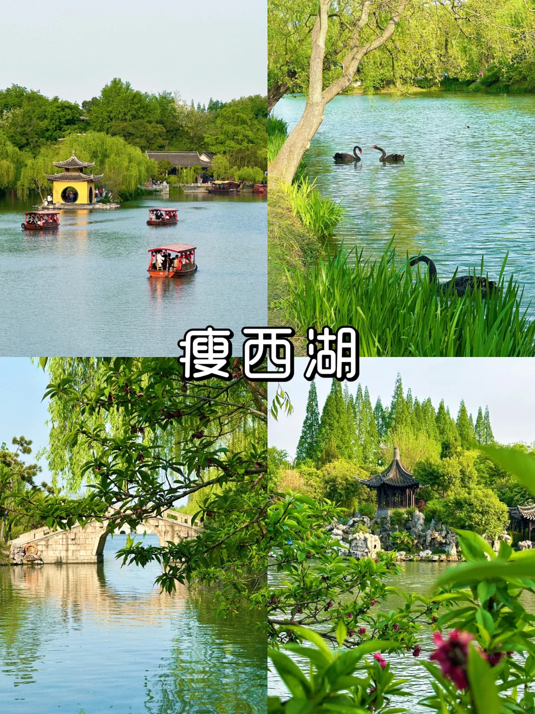 烟花三月下扬州|9大打卡景点，超全攻略🌸