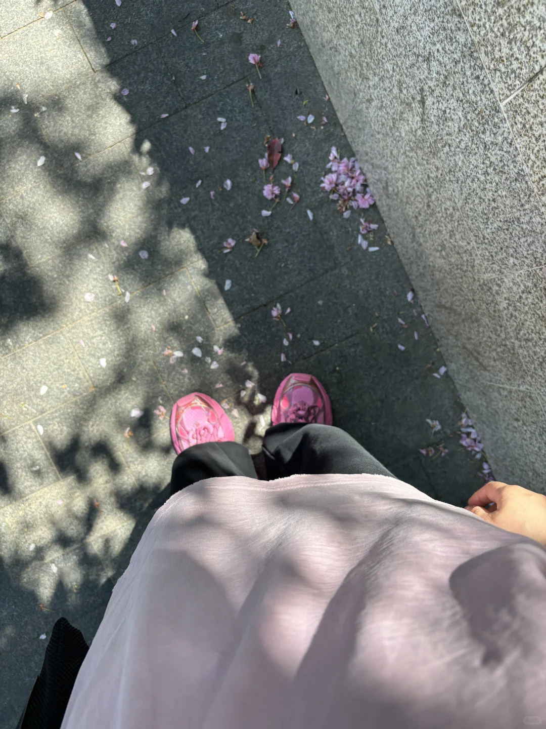 日照土著💥无广旅游攻略分享