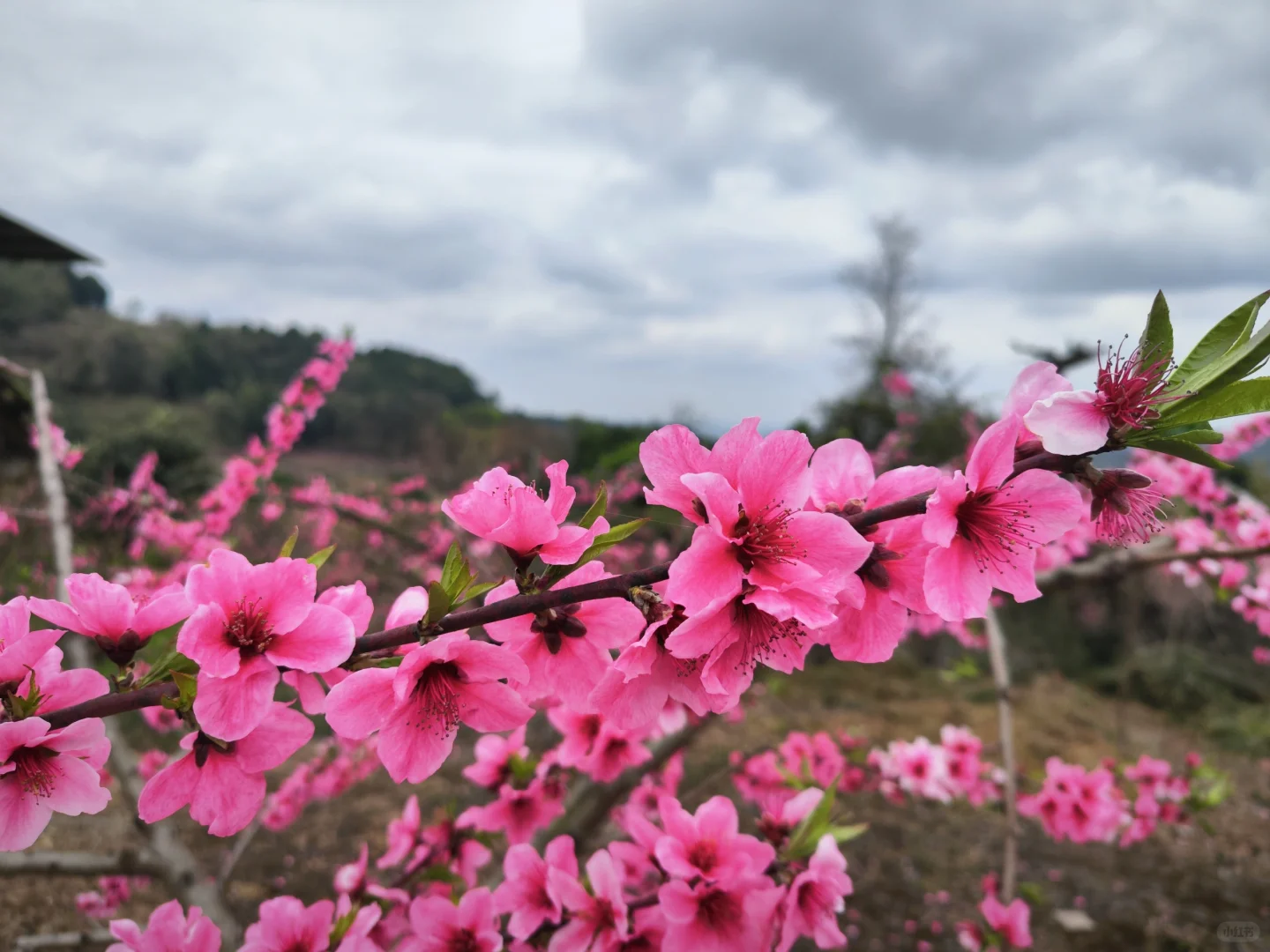 人多的冷门景区三元景区游