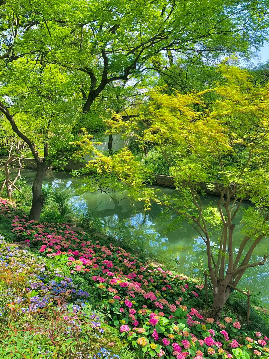 到虎丘才知道苏州的春天多治愈！