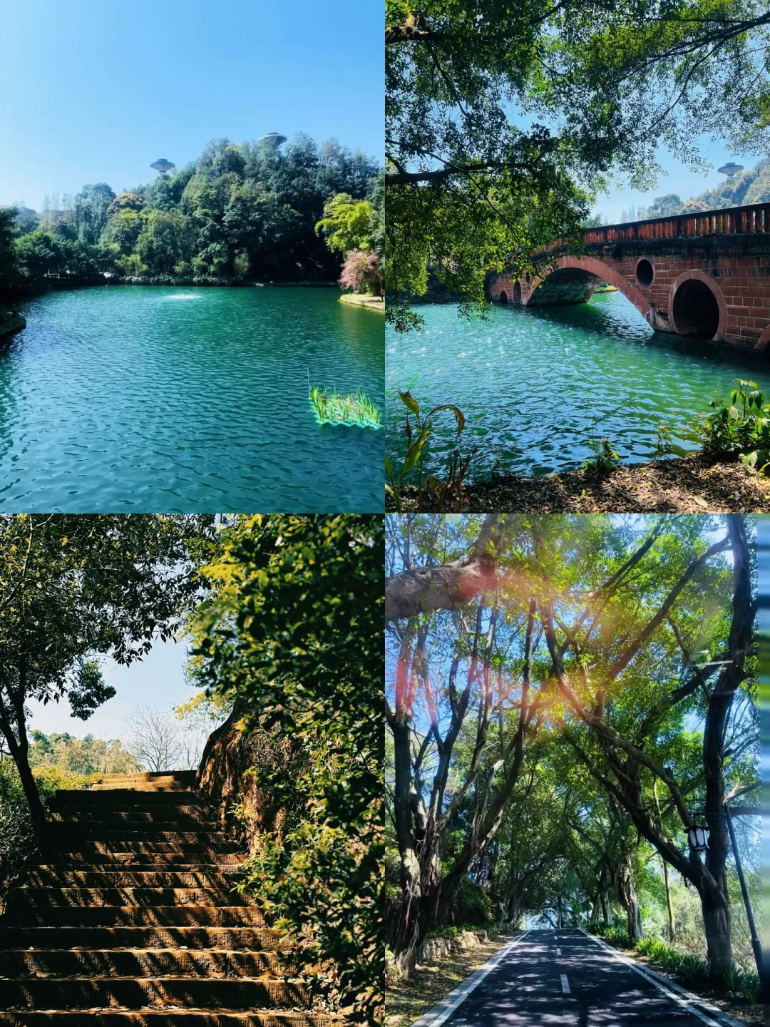 乐山」老城区被低估的公园，美到next level了