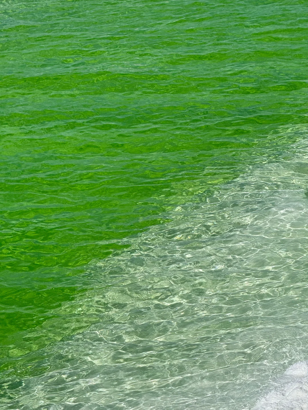 3.31📍察尔汗盐湖已回，live直出，劝退不了