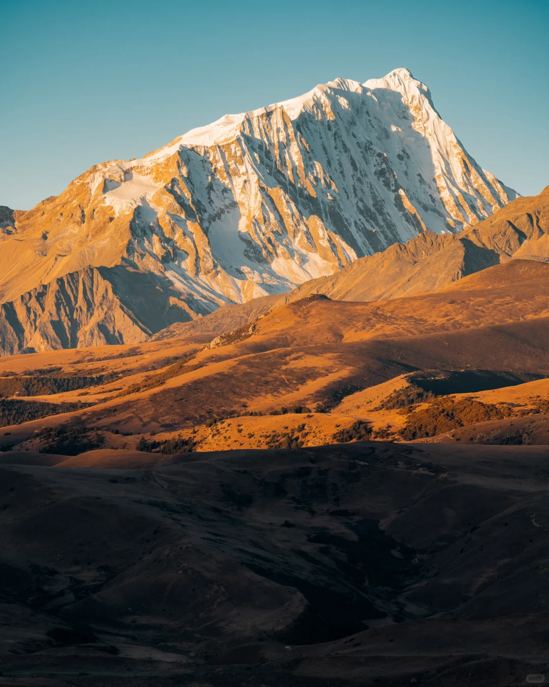 格聂 从来不是谁的平替