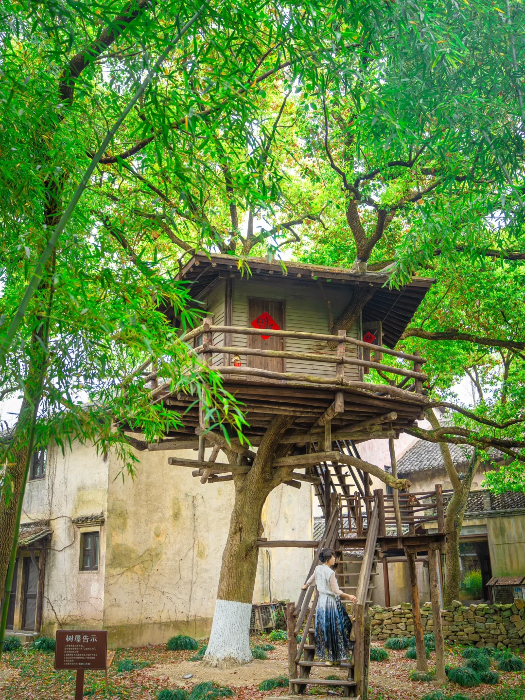 能打败乌镇的，只有春天的乌镇！