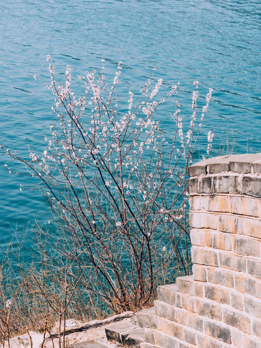清明去京郊❗️山桃花➕长城➕湖泊，附线路攻略