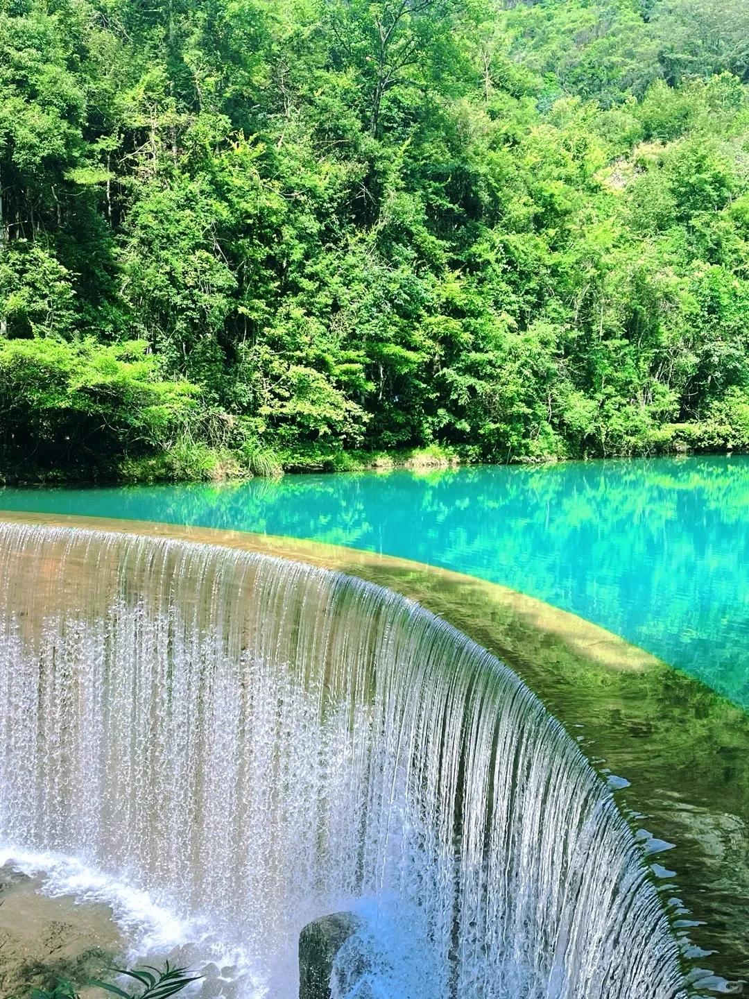 血泪教训‼️3-5月别不听劝就去荔波小七孔😭…