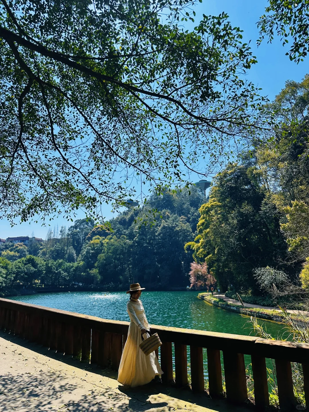 乐山」老城区被低估的公园，美到next level了