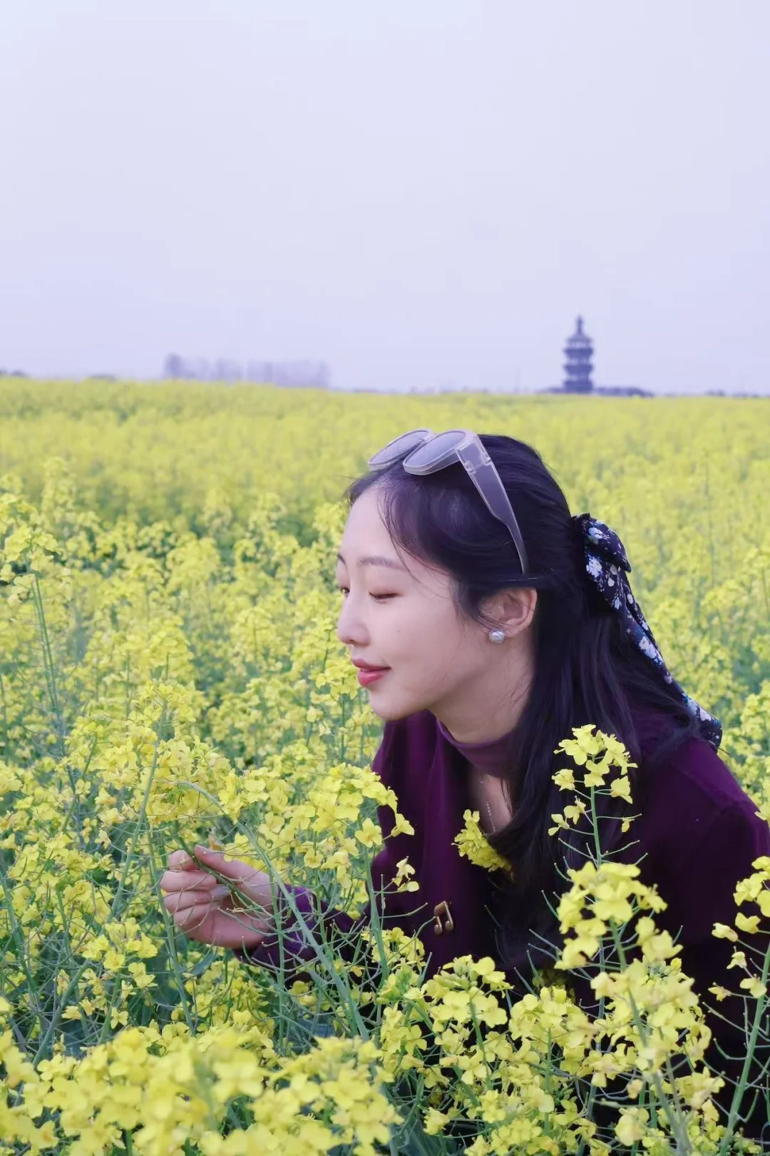 清明去了千垛菜花景区，我觉得很美