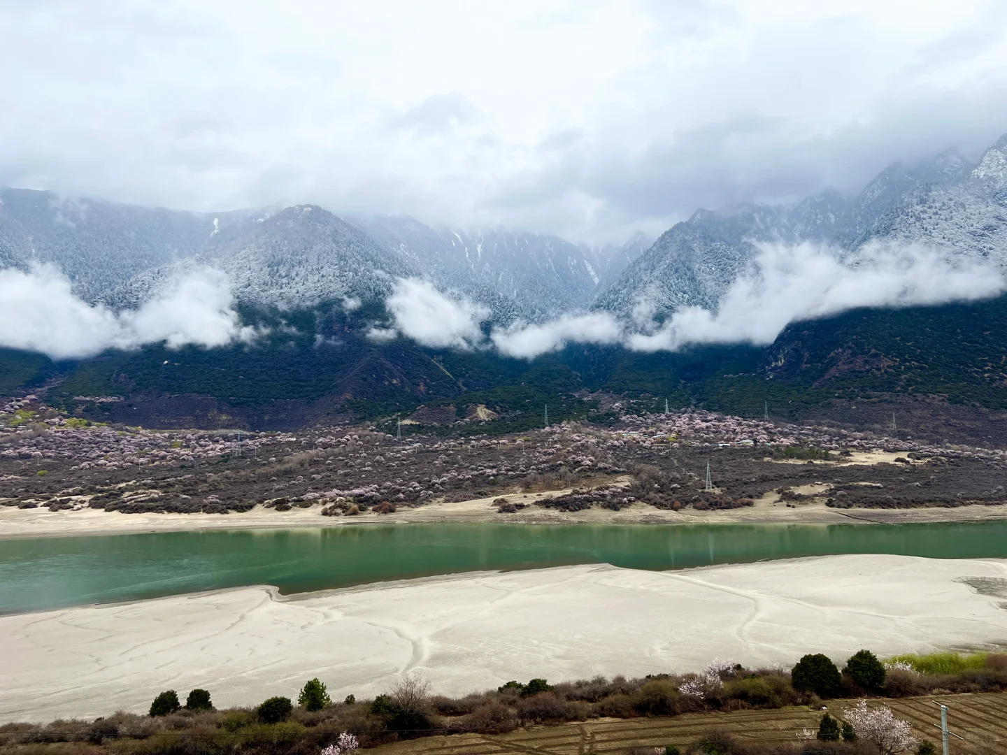林芝｜雅鲁藏布大峡谷，已投诉