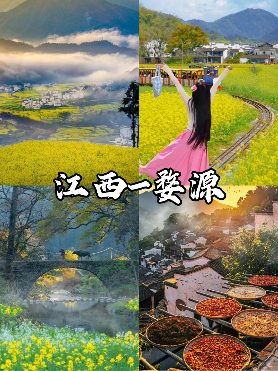 适合春天旅游的9个城市‼️