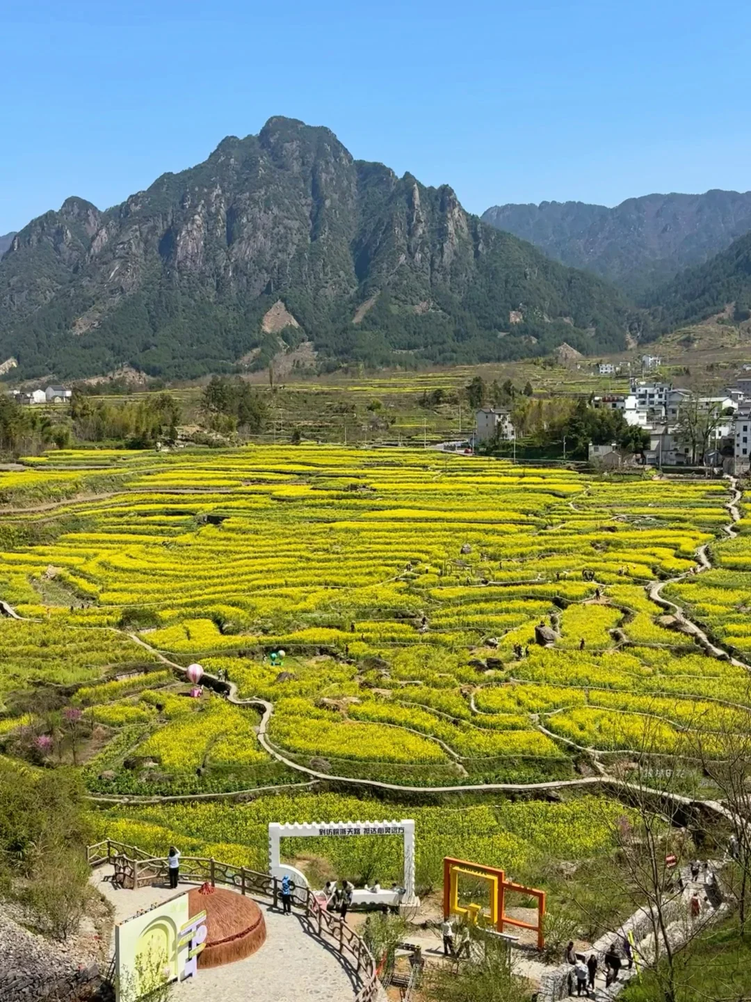 婺源宏村去腻了❗️绝美油菜花梯田在这里