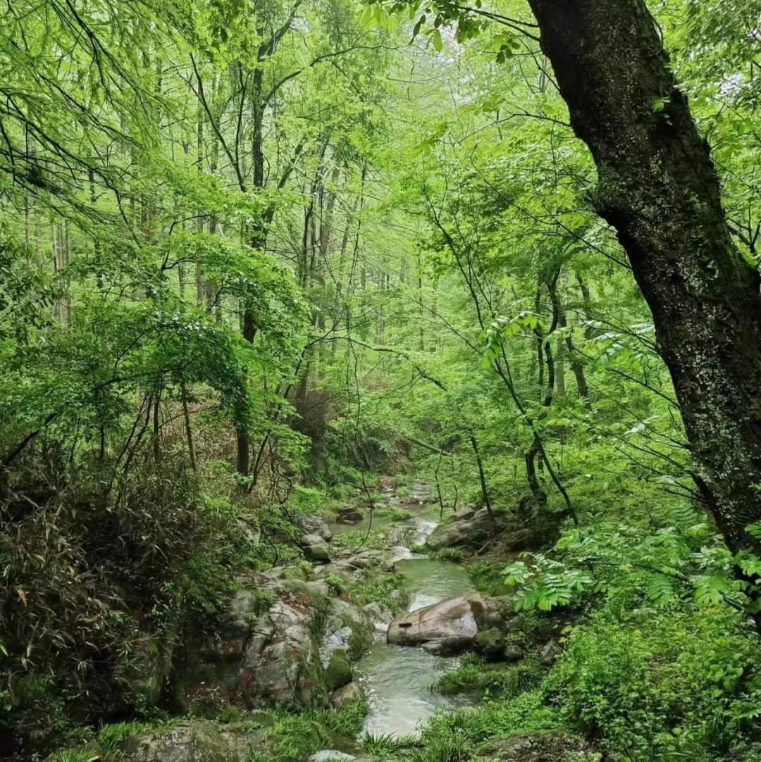 清明节信阳三天旅行攻略