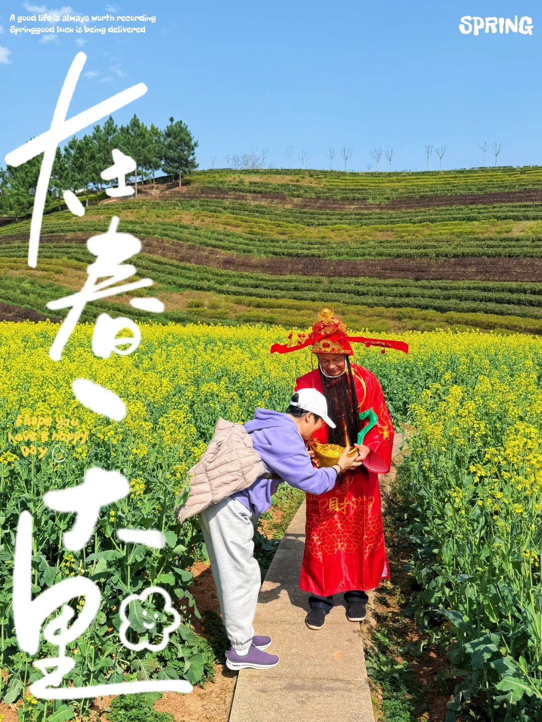 樱花海💢美到窒息，不用去武汉人挤人啰‼️