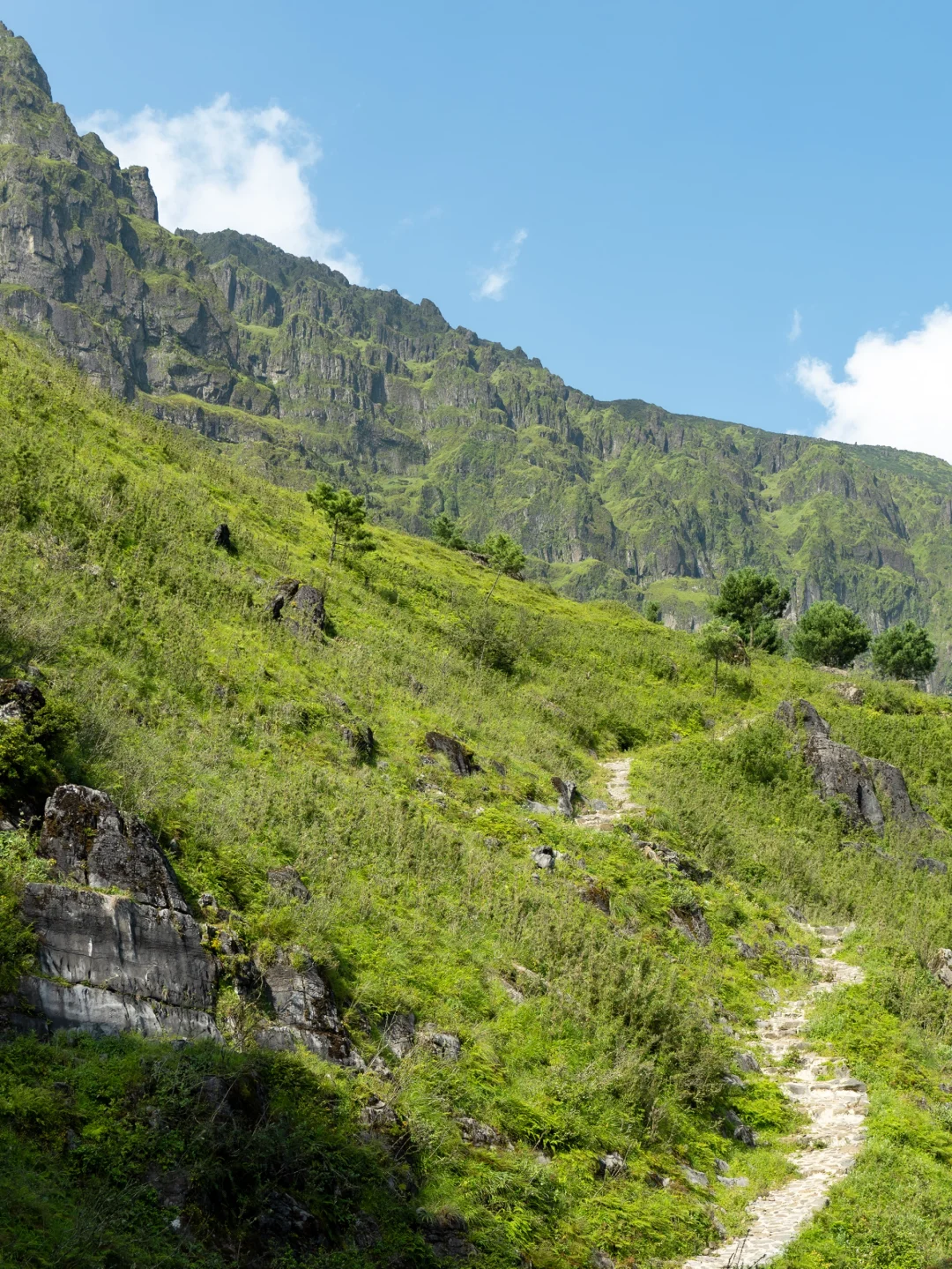 我宣布！这是昆明周边最像新西兰⛰️的地方