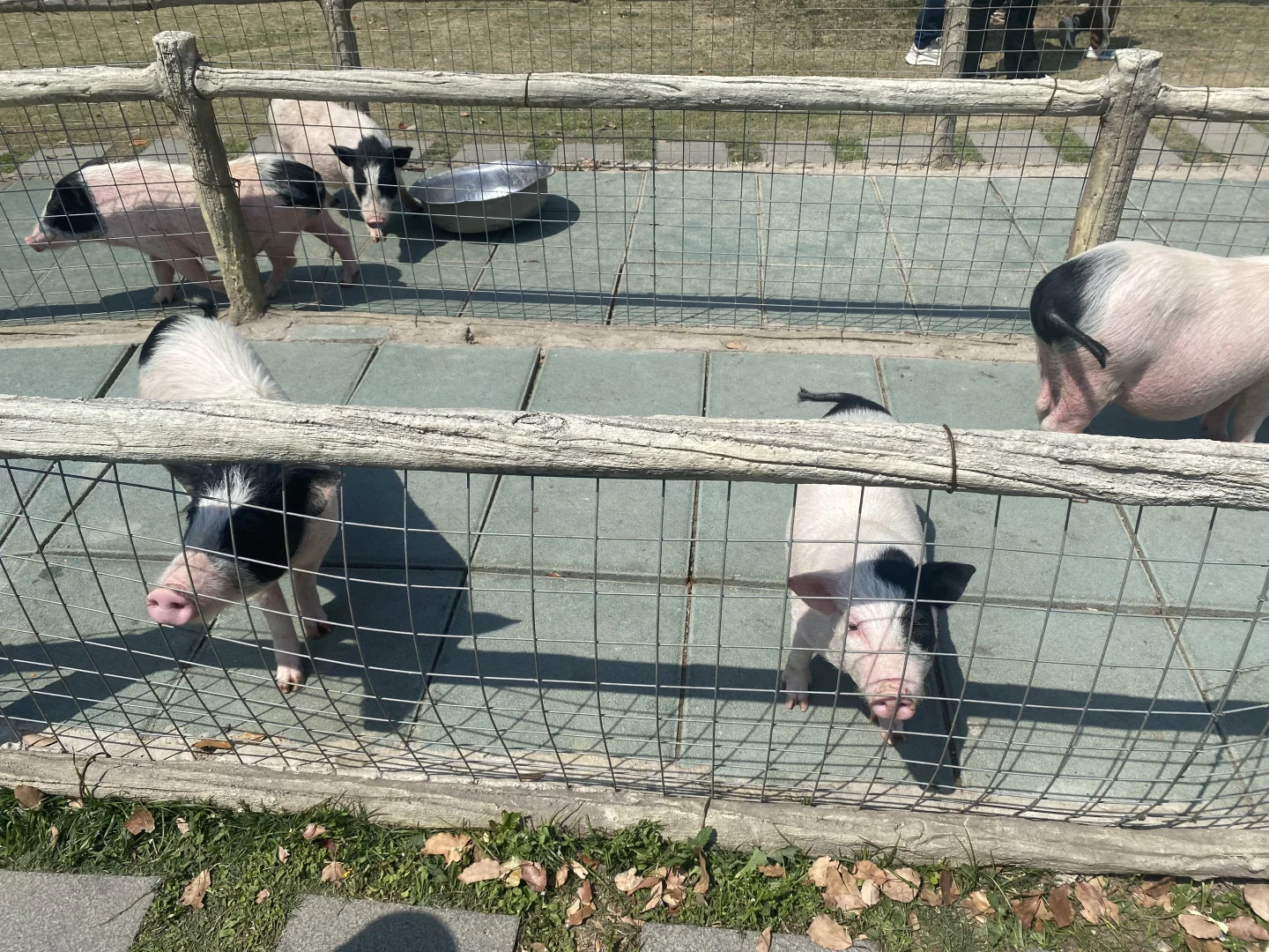 无锡雪浪山一日游