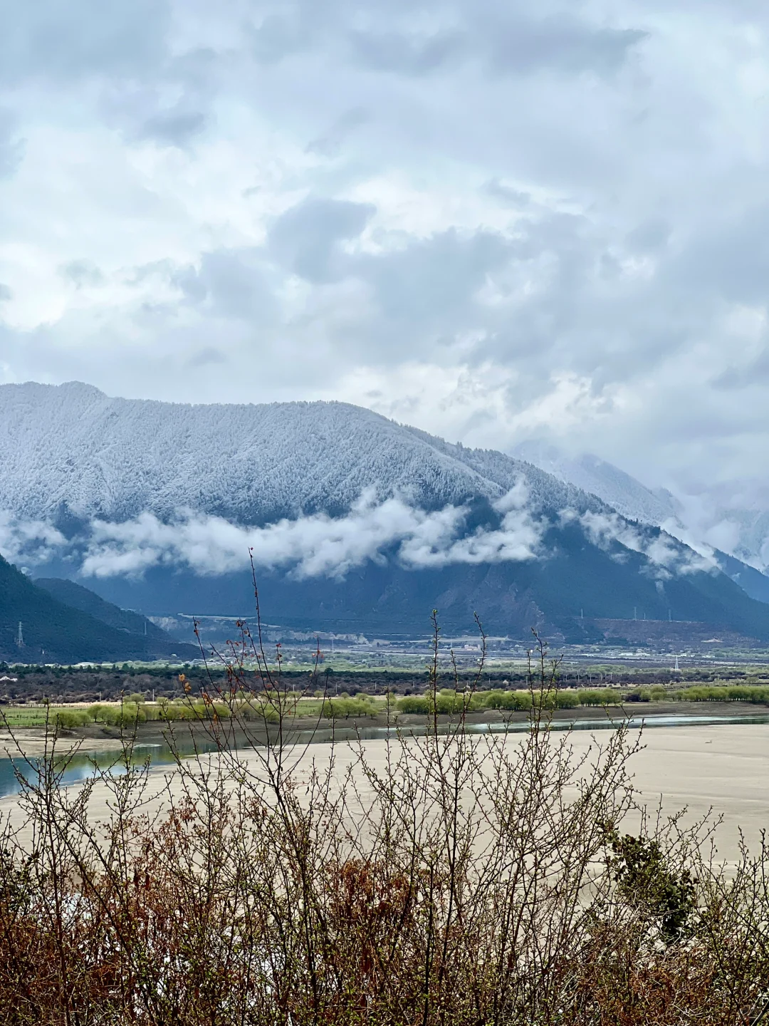 林芝｜雅鲁藏布大峡谷，已投诉