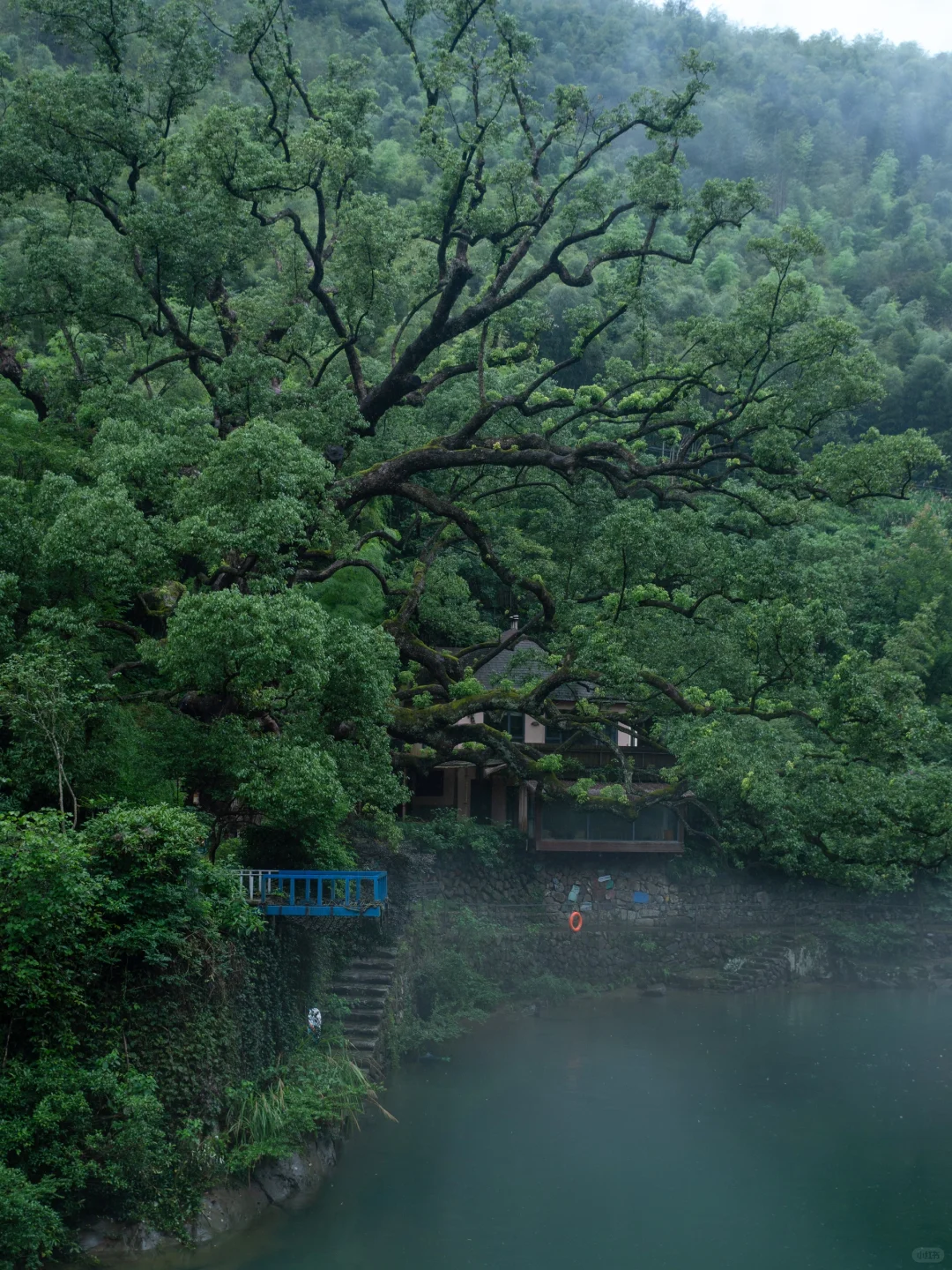 后悔才去😭江浙沪最适合春游的绝美小城