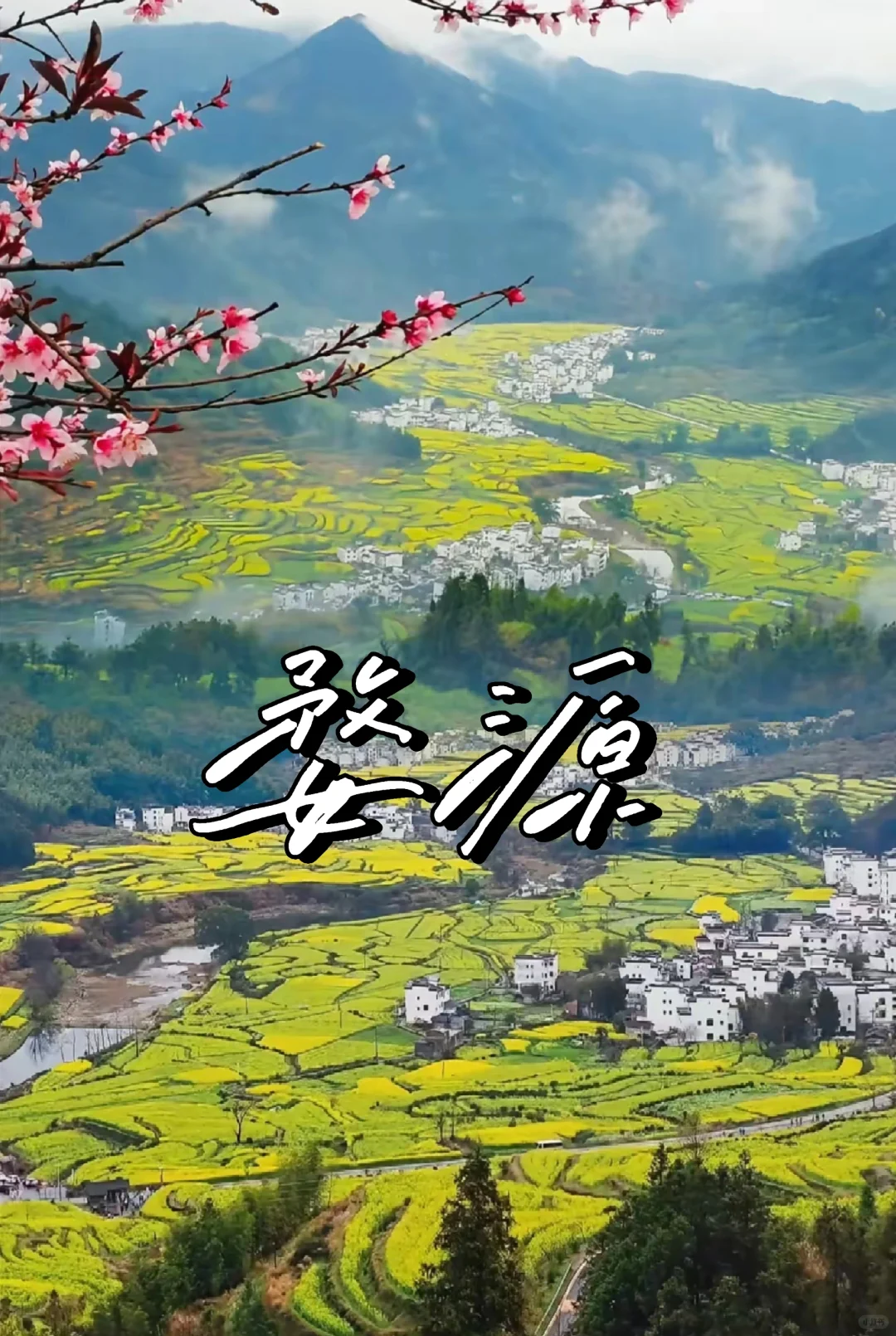 《国家地理》强推！大学生三天两夜婺源攻略