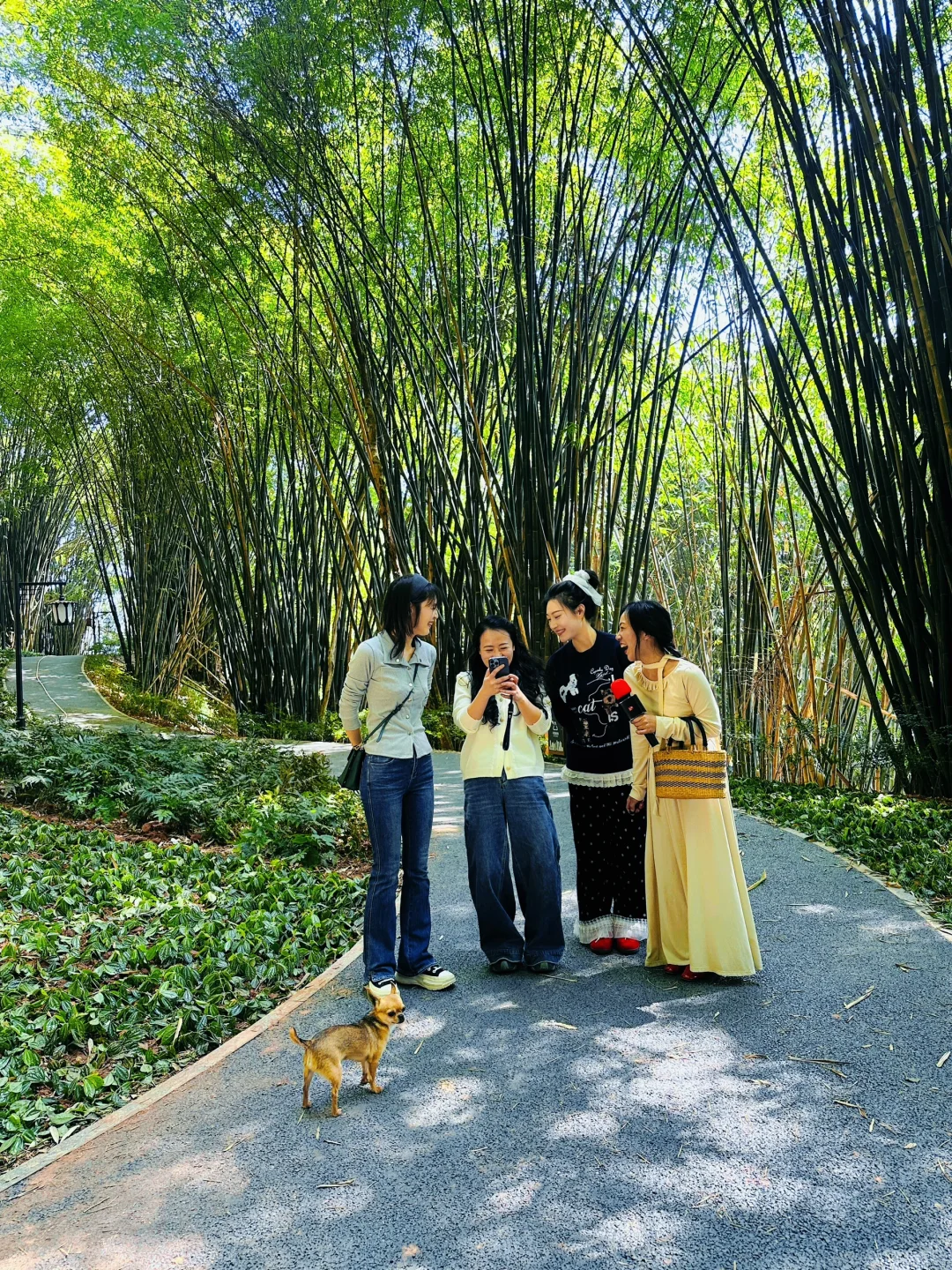 乐山」老城区被低估的公园，美到next level了