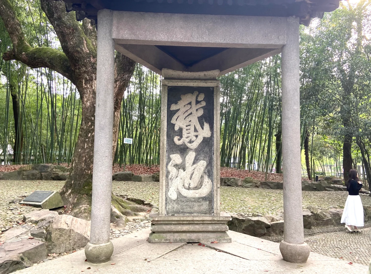 【兰亭游记】天朗气清，惠风和畅🍃