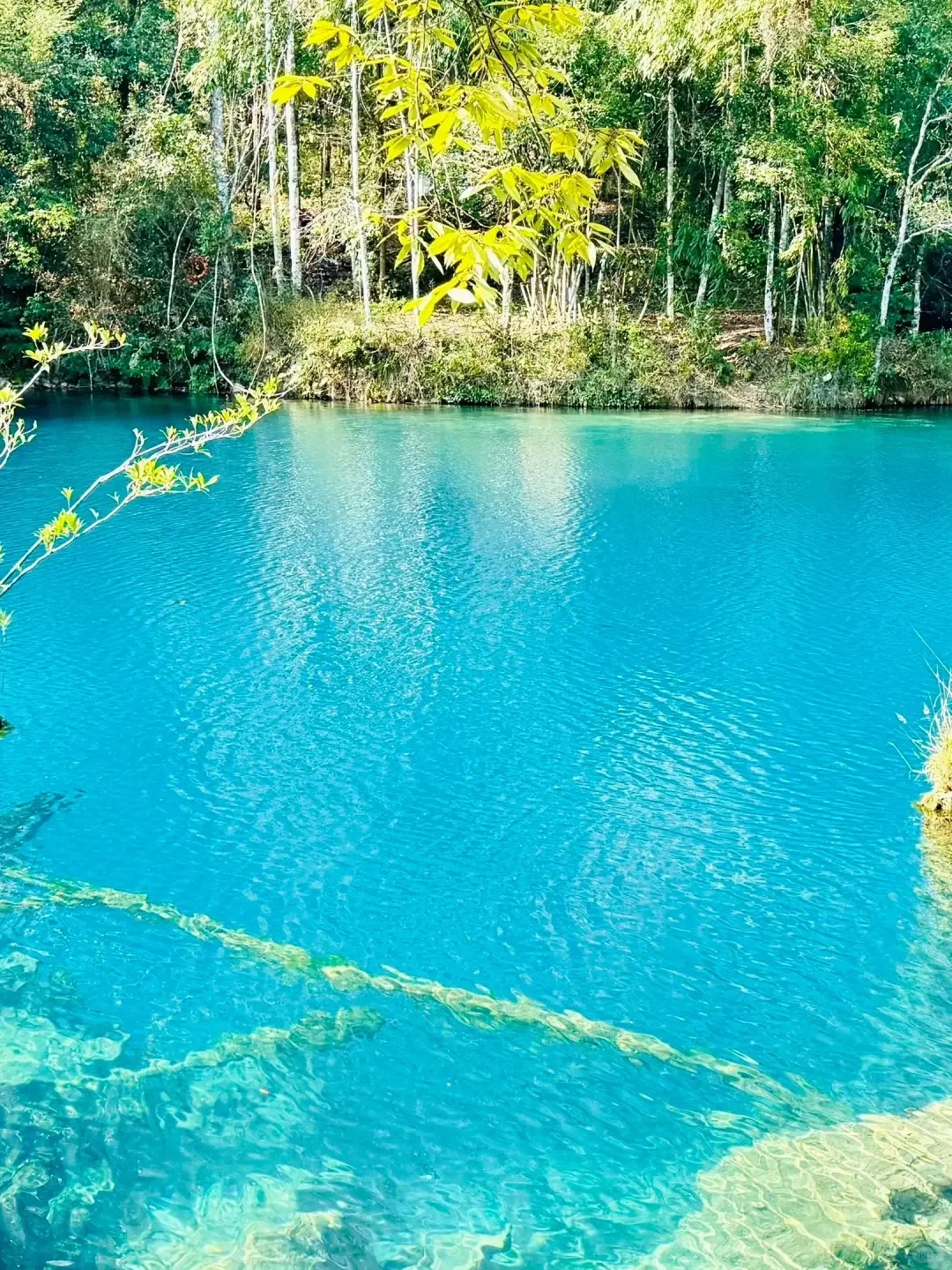 血泪教训‼️3-5月别不听劝就去荔波小七孔😭…