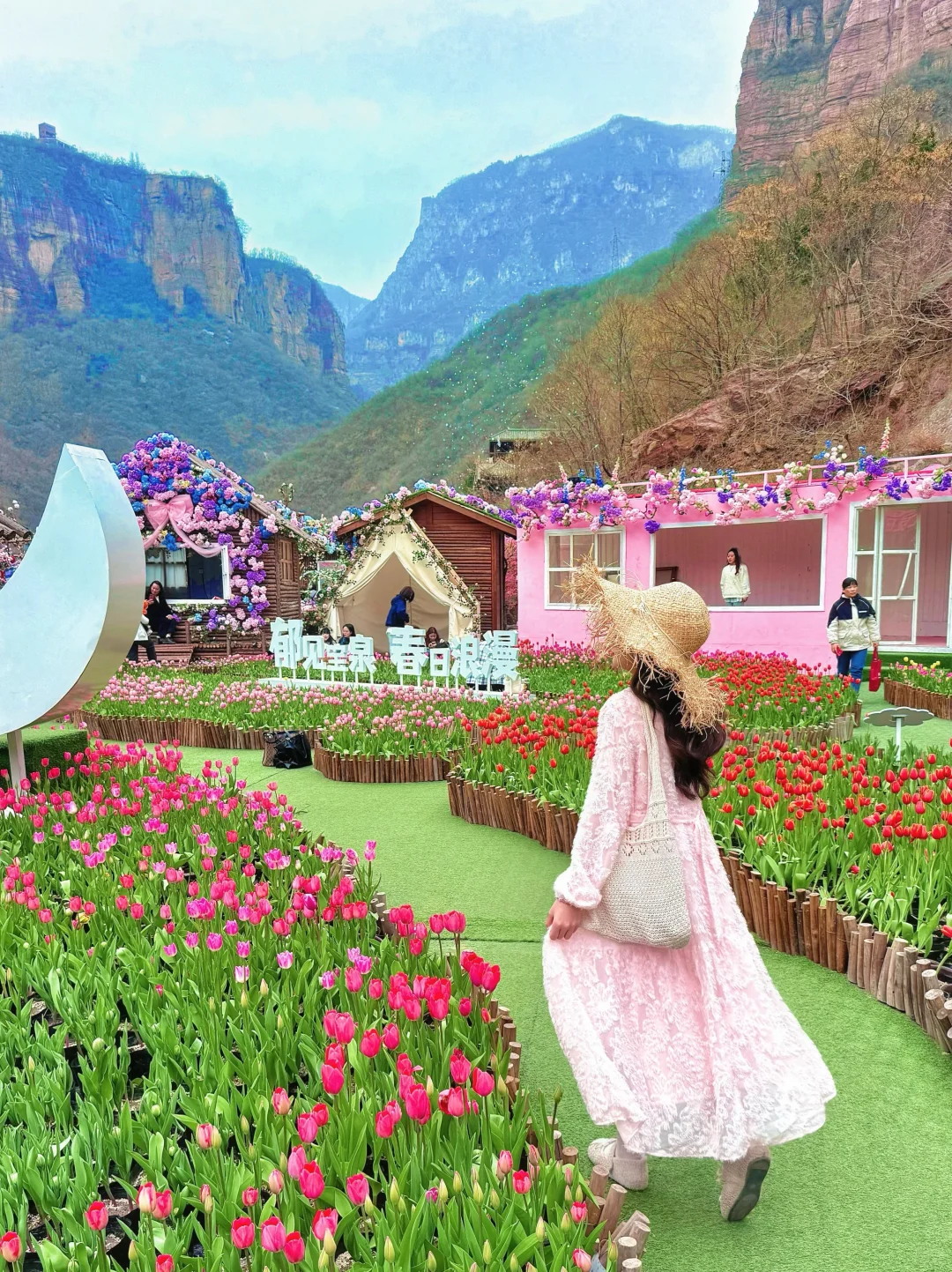 真不是荷兰！是河南！💐郁金香花海美到窒息🥹