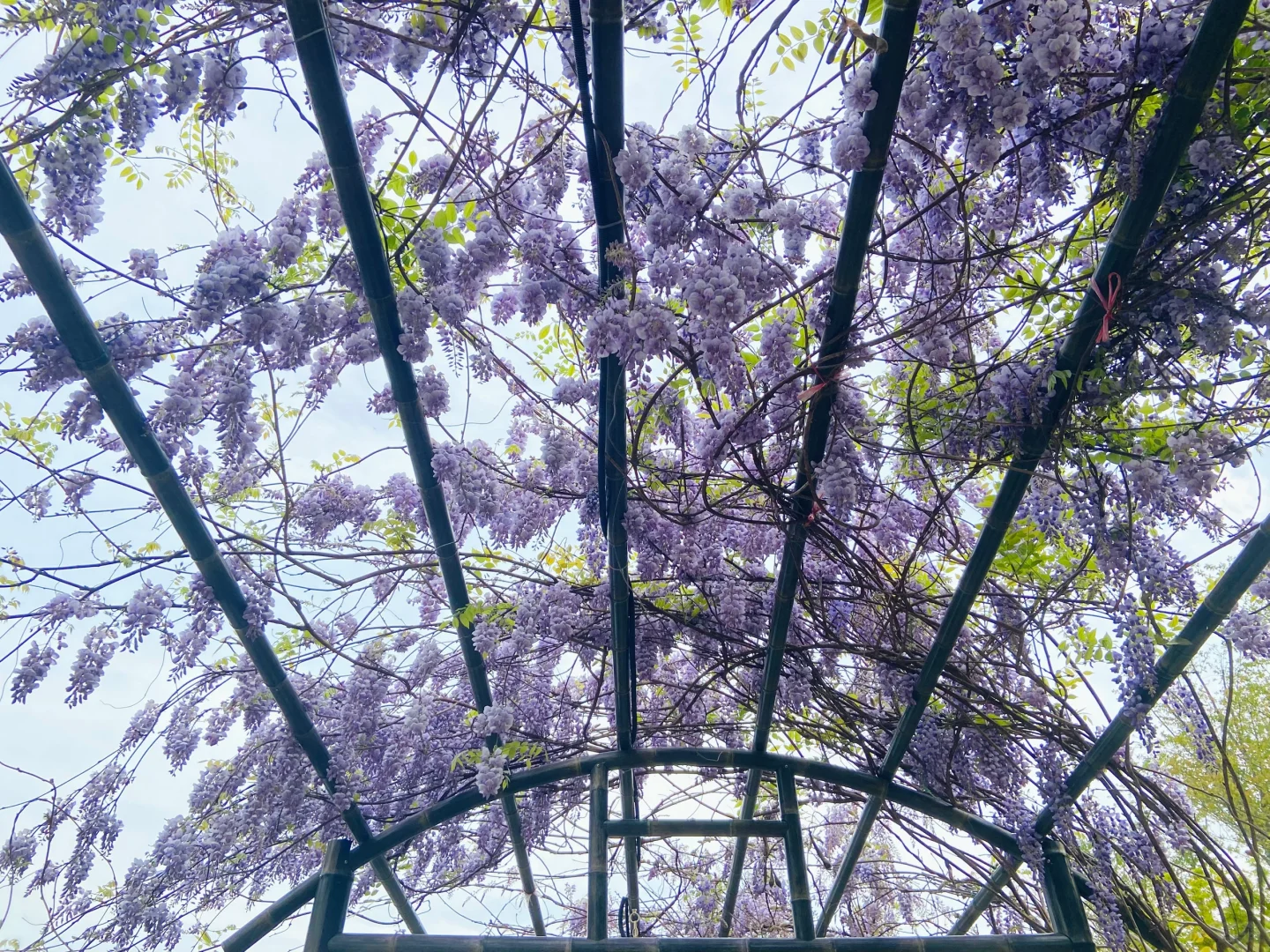 【兰亭游记】天朗气清，惠风和畅🍃