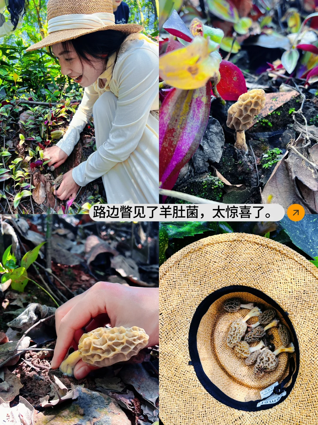 乐山」老城区被低估的公园，美到next level了