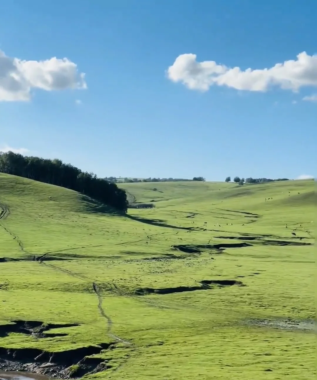 第一次来乌兰布统不要慌❗️❗️来看旅游攻略