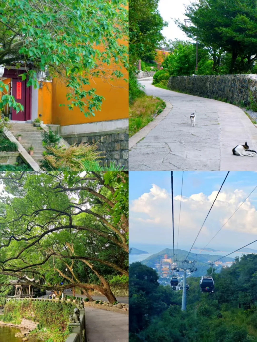 🏝舟山旅游攻略丨超详细避坑指南📕