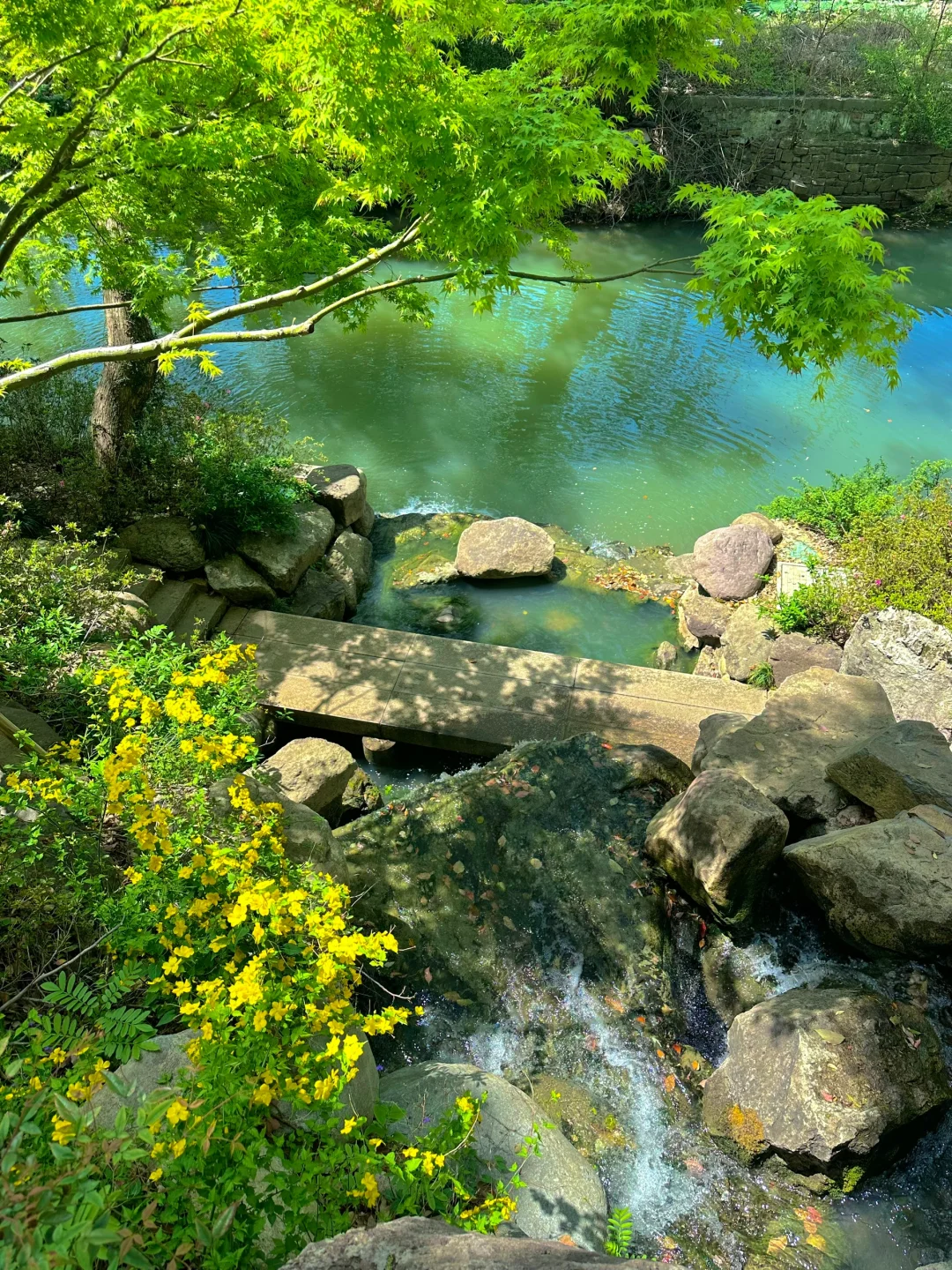 到虎丘才知道苏州的春天多治愈！
