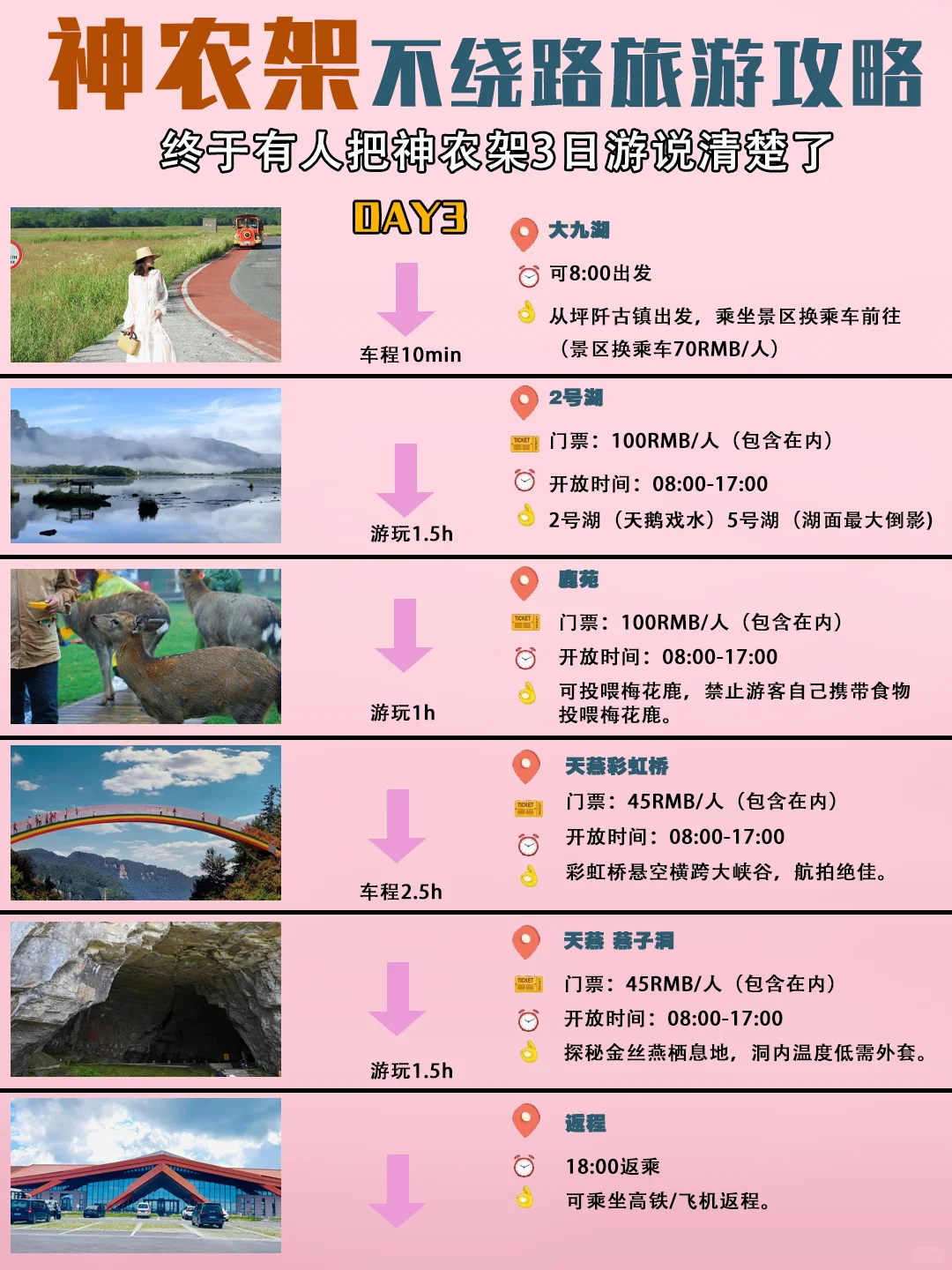 神农架3天保姆攻略🌲金丝猴云海晨雾全包