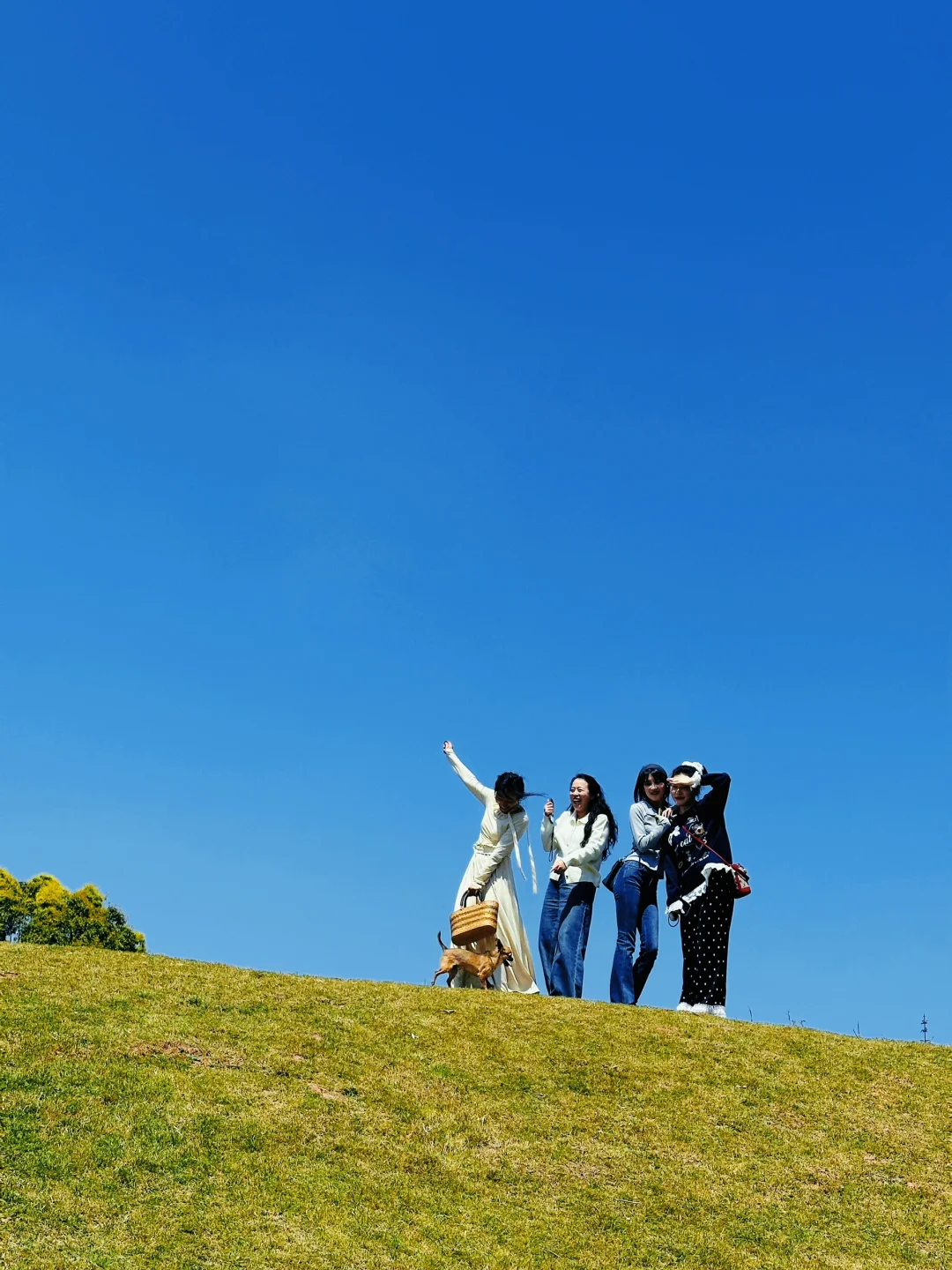 乐山」老城区被低估的公园，美到next level了