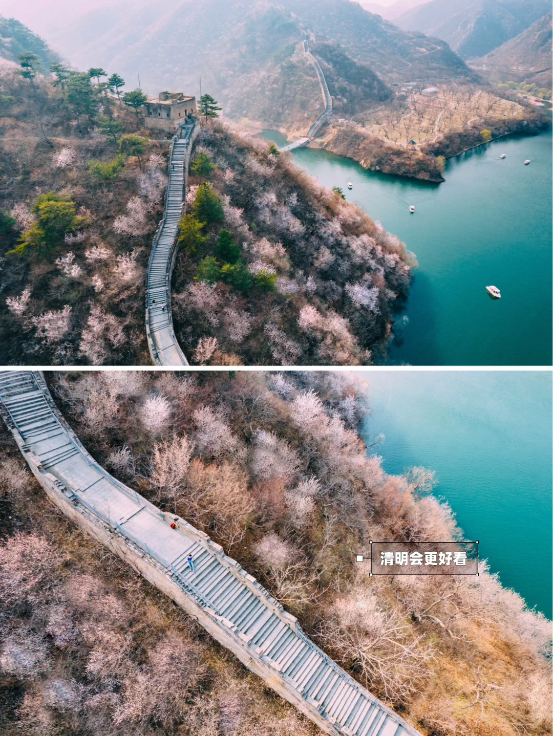 清明去京郊❗️山桃花➕长城➕湖泊，附线路攻略